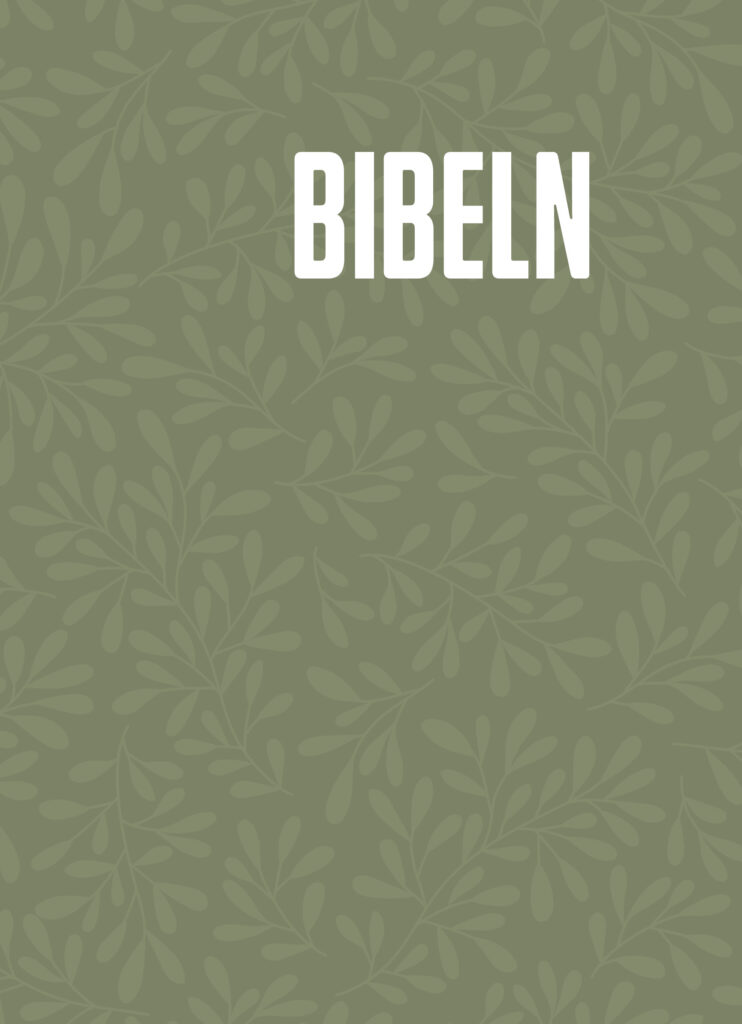 bibel2026 hårdbunden