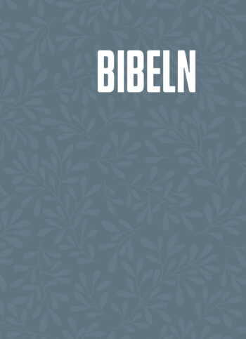 bibel2026 noter hårdbunden