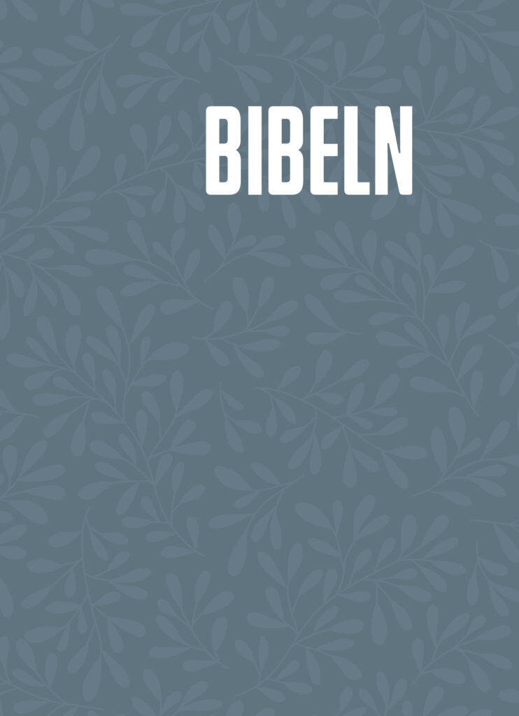 bibel2026 noter hårdbunden