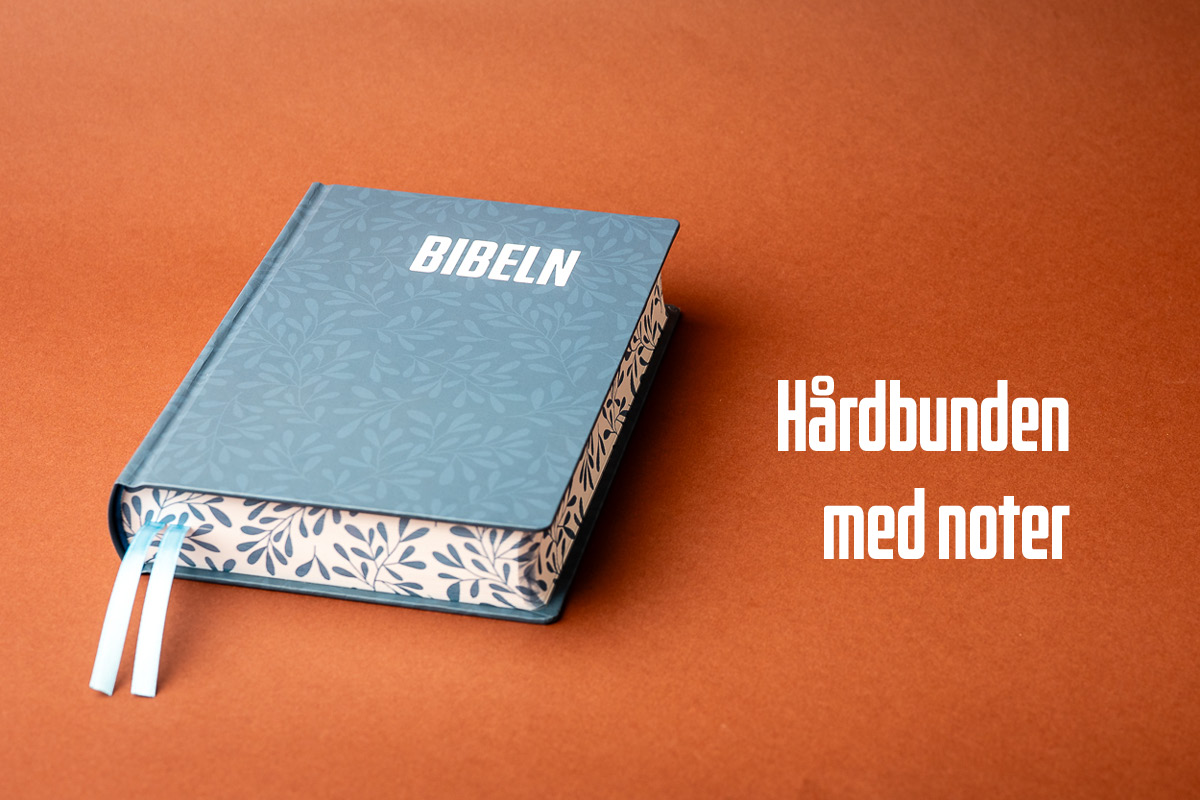 bibelbanner-mobil-nt2026-10