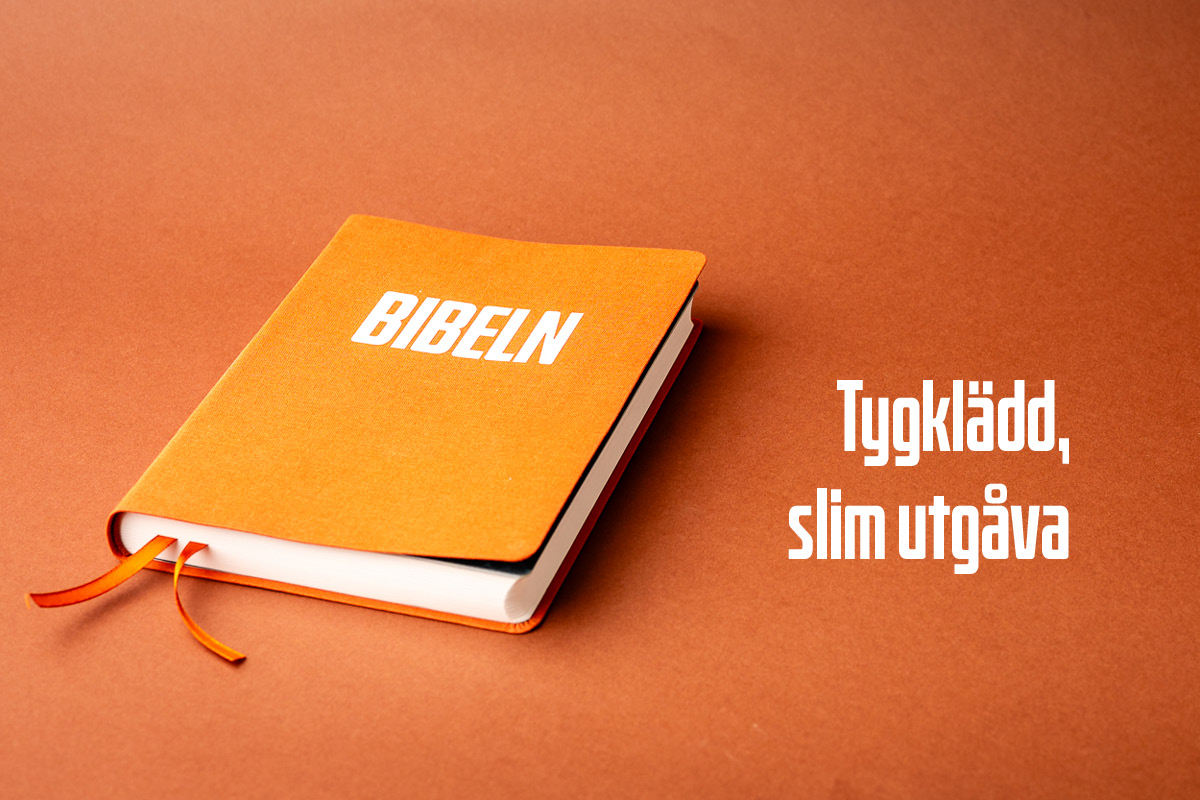 bibelbanner-mobil-nt2026-8