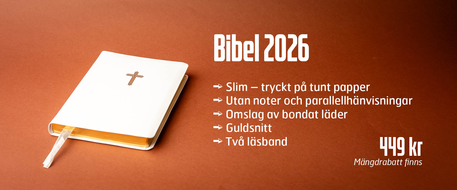 bibelbanner nt2026-3