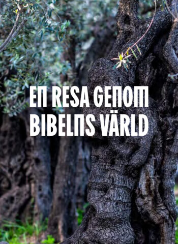 Bibelns varld